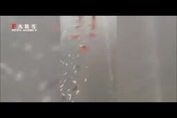 فیلم/ بارش ماهی از آسمان در آسمان گلپایگان