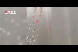 فیلم/ بارش ماهی از آسمان در آسمان گلپایگان