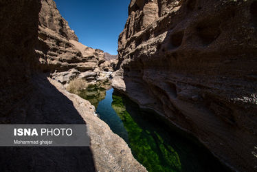 «کال جنی» طبس