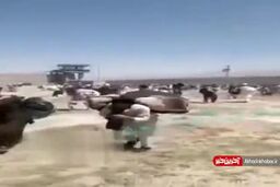 فرار هزار زندانی خطرناک طالبان از زندان پل چرخی کابل