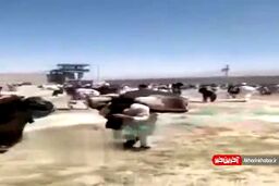 فرار هزار زندانی خطرناک طالبان از زندان پل چرخی کابل