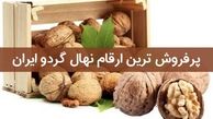 پرفروش ترین ارقام نهال گردو ایران چه ارقامی می باشند: