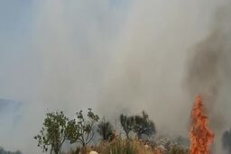 زنده زنده سوختن 2 کودک خردسال + جزئیات
