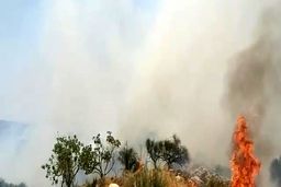 فیلم؛آتش سوزی در تنگ تکاب (رود مارون)