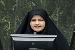 خانم نماینده: برگزاری کنسرت خوانندگان ایرانی در ترکیه