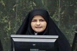 خانم نماینده: برگزاری کنسرت خوانندگان ایرانی در ترکیه