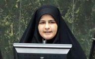 خانم نماینده: برگزاری کنسرت خوانندگان ایرانی در ترکیه