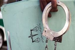 بازداشت سارق آثار هنری در فضای مجازی