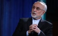 واکنش علی اکبر صالحی به مالکیت نماد شیر خورشید