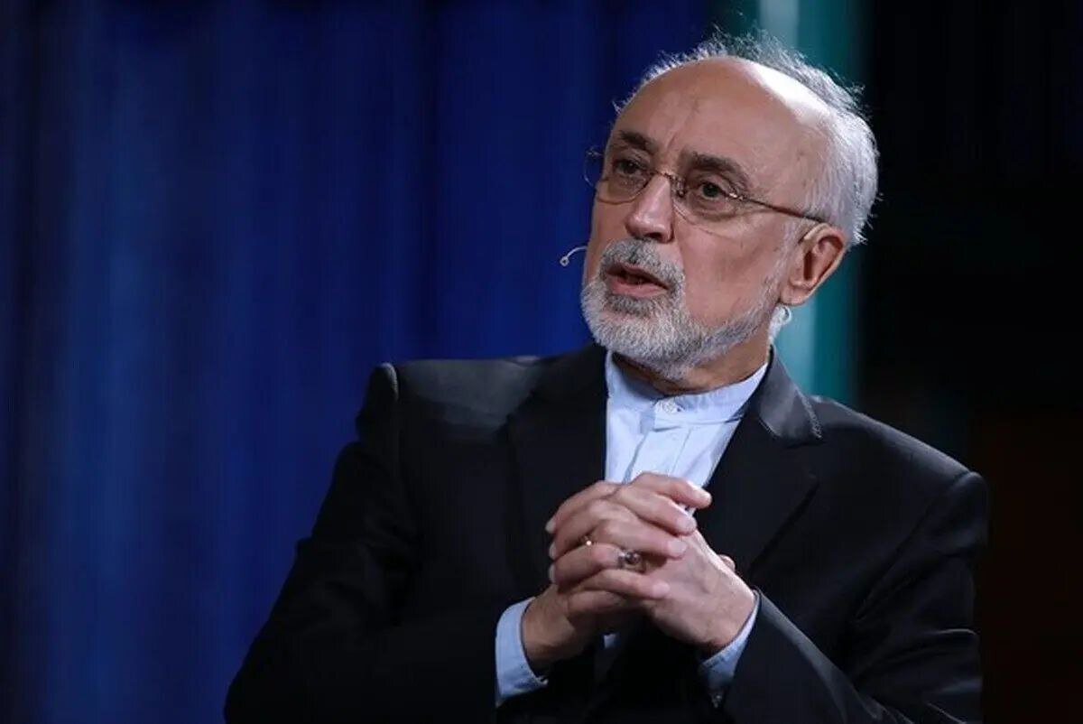 واکنش علی اکبر صالحی به مالکیت نماد شیر خورشید