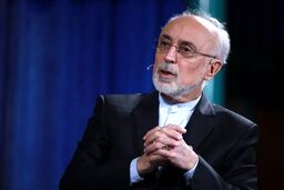 واکنش علی اکبر صالحی به مالکیت نماد شیر خورشید