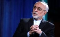 واکنش علی اکبر صالحی به مالکیت نماد شیر خورشید