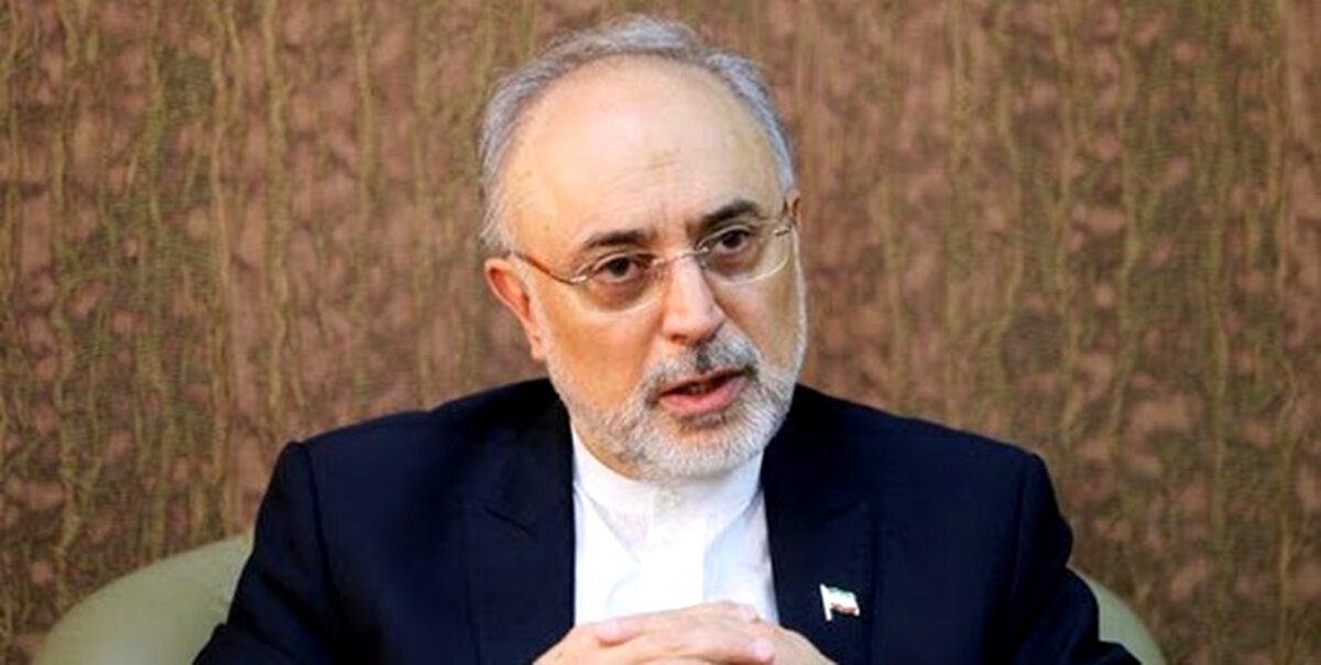 رمزگشایی صالحی از سیاست جدید دولت بایدن در قبال برجام