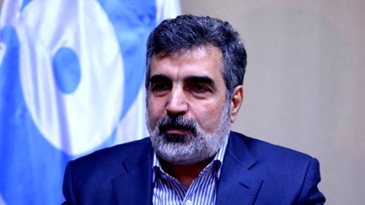سخنگوی سازمان انرژی اتمی دچارحادثه شد