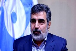 سخنگوی سازمان انرژی اتمی دچارحادثه شد