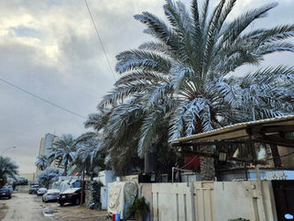 بارش برف زیبا در کربلا