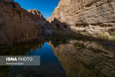 «کال جنی» طبس