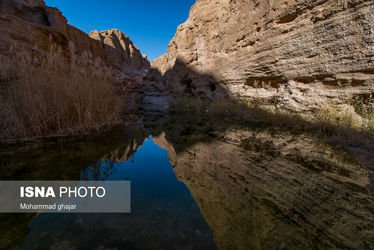 «کال جنی» طبس