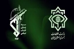 ضربه اطلاعات سپاه و وزارت اطلاعات به شبکه سازماندهی اغتشاشات