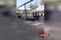 تاب بازی طالبان در پارک