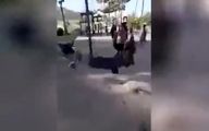 تاب بازی طالبان در پارک