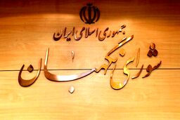 شورای نگهبان: نهم دی سال ۸۸ از حافظه تاریخ پاک نخواهد شد