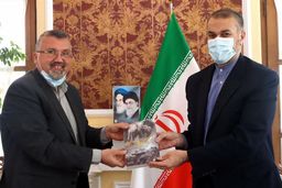 امیرعبداللهیان با نماینده جنبش «أمل» لبنان در ایران دیدار کرد