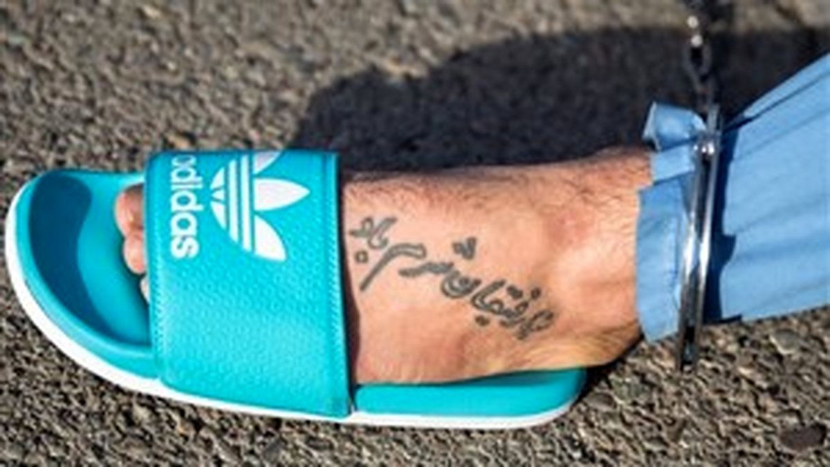 معلول قلابی سارق حرفه ای بود