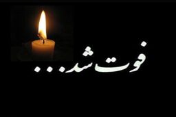  مدال‌آور المپیک در سانحه رانندگی درگذشت