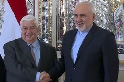ظریف با ماسک و دستکش جراحی در دیدار با بشار اسد در دمشق
