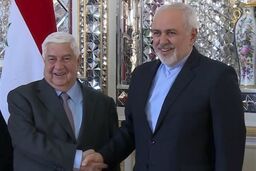 ظریف با ماسک و دستکش جراحی در دیدار با بشار اسد در دمشق