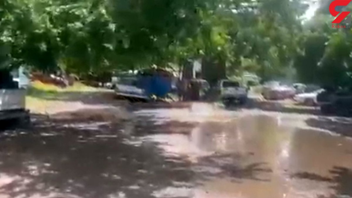 ببینید / فیلم لرزش وحشتناک ماشینها و فرار یک سگ دز زلزله مکزیک