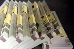  پرداخت حقوق کارمندان از این ماه مشروط شد+جزئیات