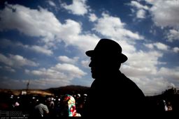 جشن بیل‌گردانی در نیم‌ور محلات