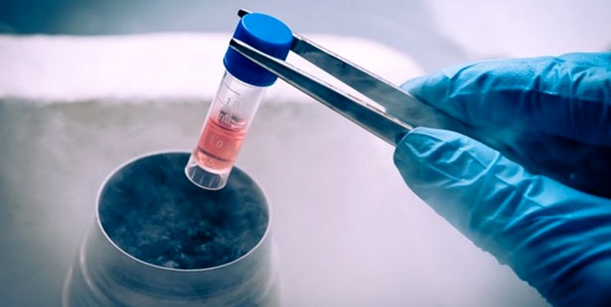 کیمرا؛ اولین حیوان با سلول های انسانی متولد می شود