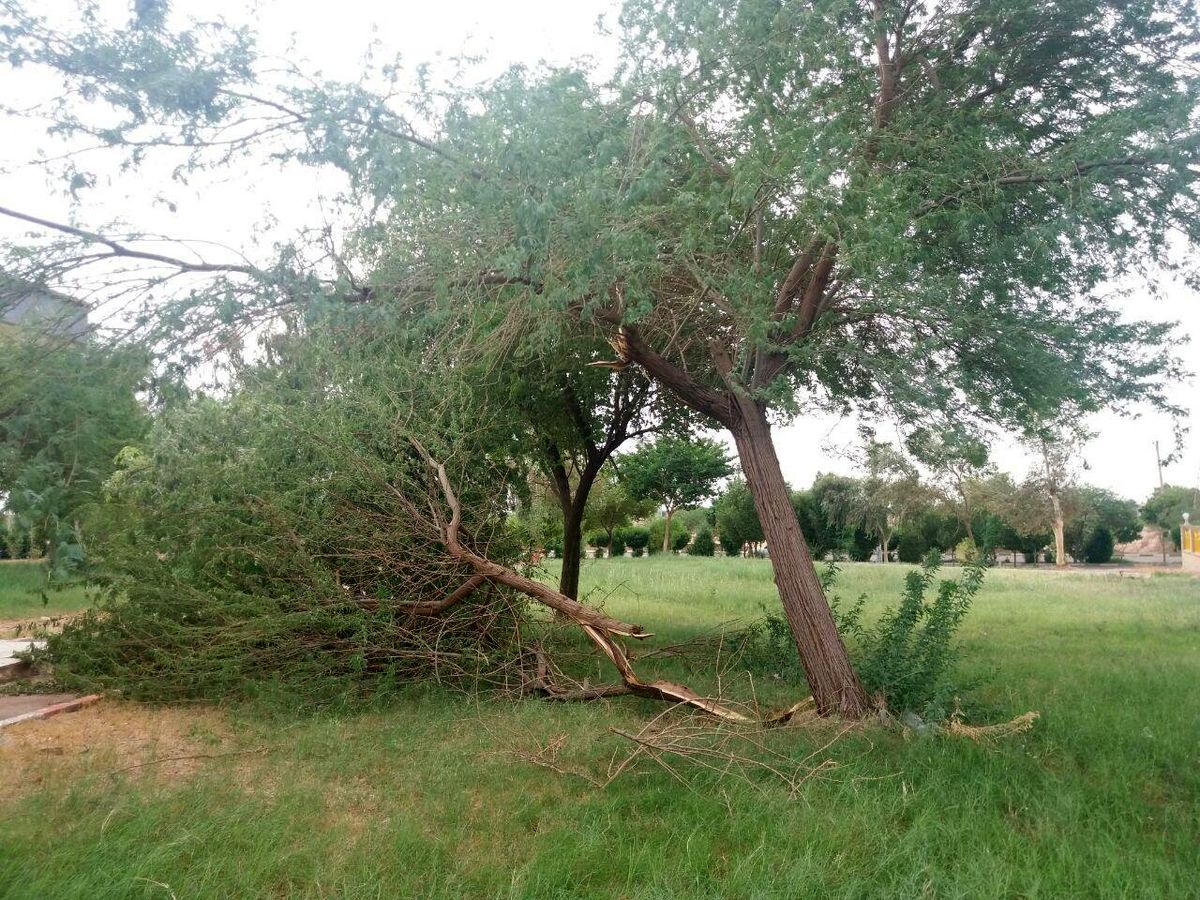 گزارش تصویری/ طوفان شدید خوزستان که موکب‌های زائران اربعین را هم خراب کرد