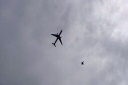 فوری : فرود اضطراری پرواز بندرعباس ـ تهران در فرودگاه یزد | آخرین وضعیت سلامتی مسافران 