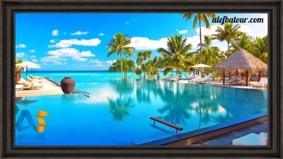 مالدیو برویم یا بالی؟