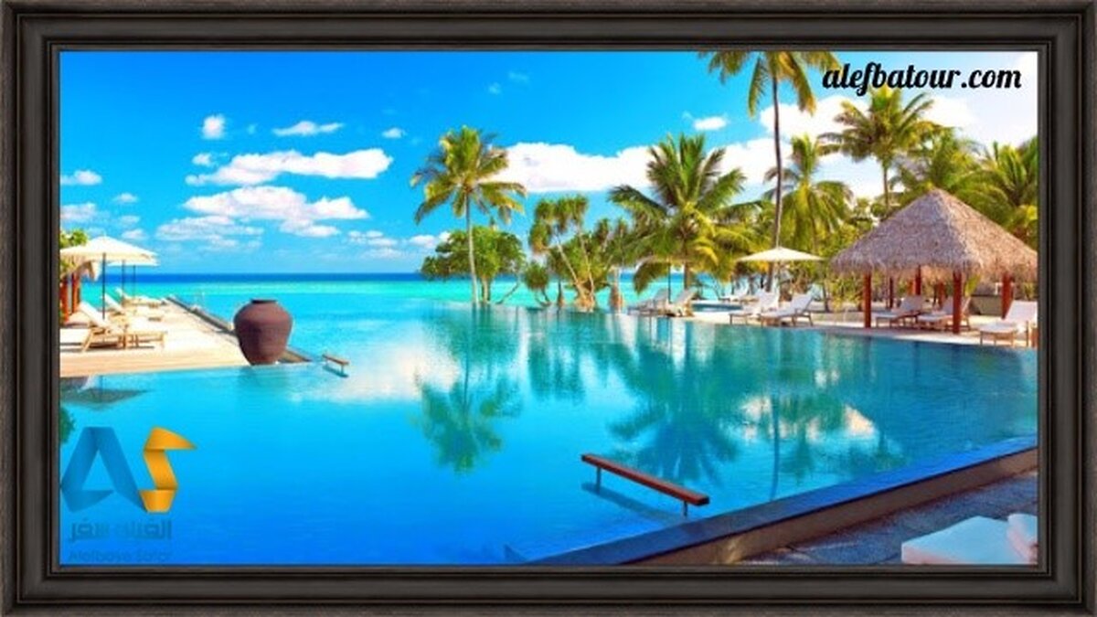 مالدیو برویم یا بالی؟