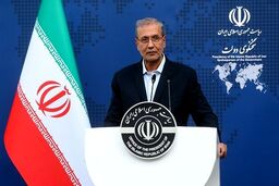 واکنش ربیعی به ترور یکی از سخنگویان دولت افغانستان
