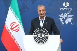 واکنش ربیعی به ترور یکی از سخنگویان دولت افغانستان