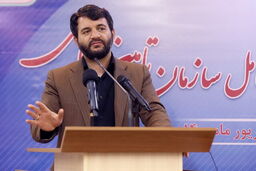 با اهمال‌کاری در جذب سرمایه‌ها برخورد انقلابی می‌کنیم