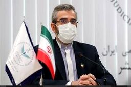 کنایه معاون رئیسی به کشورهای غربی: چاقو دسته خود را نمی‌برد!