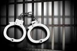 دستگیری زن سارق اماکن مذهبی در کرج/ دستگیری مامور قلابی کمیته امداد