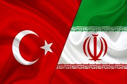 رئیس مجلس ترکیه وارد ایران شد