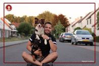 اهمیت یادگیری روش تربیت سگ