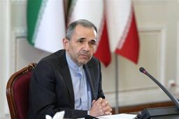 تخت‌روانچی: باید روش و رویه آمریکا را در مذاکرات ببینیم نه رسانه
