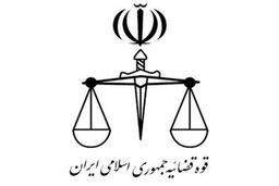 بازداشت تعدادقابل توجهی اخلالگر