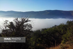 نگهبانان جنگل‌های شمال 8 ماه است که حقوق نگرفته‌اند