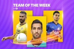 تیم منتخب هفته هفدهم لیگ برتر